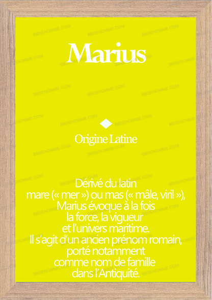 Tableau Prénom Marius Personnalisé - Origine et Signification